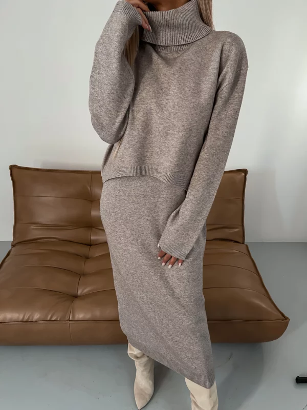 Elegant Set Midi Dress And High Neck Sweater